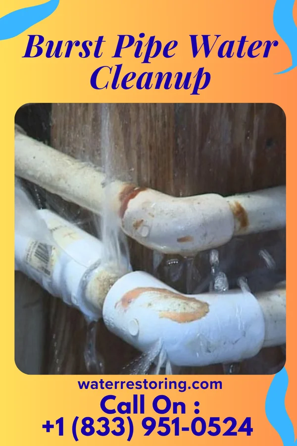 Burst Pipe Water Cleanup in Arona, PA