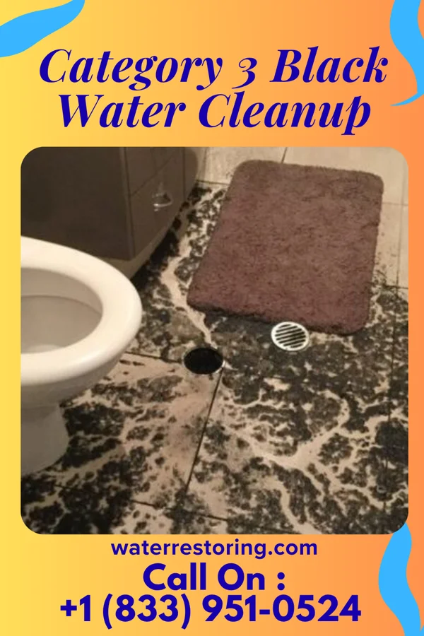 Category 3 Black Water Cleanup in Arona, PA