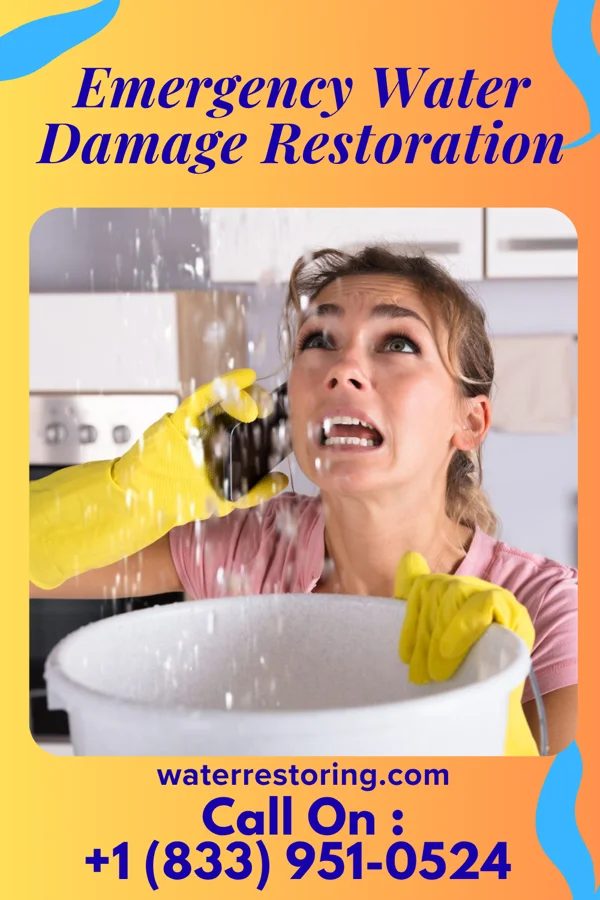 Emergency Water Damage Restoration in Arona, PA