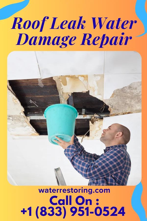 Roof Leak Water Damage Repair in Arona, PA
