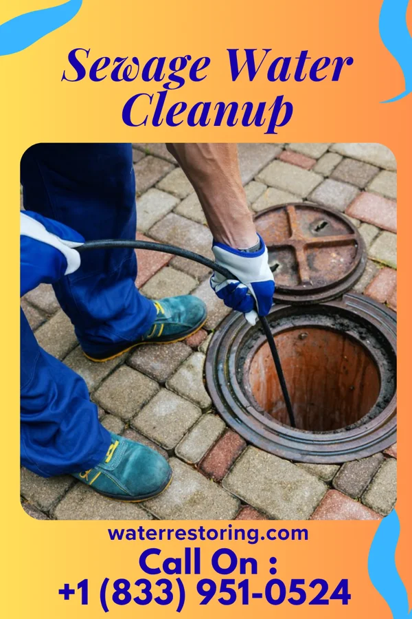 Sewage Water Cleanup in Arona, PA