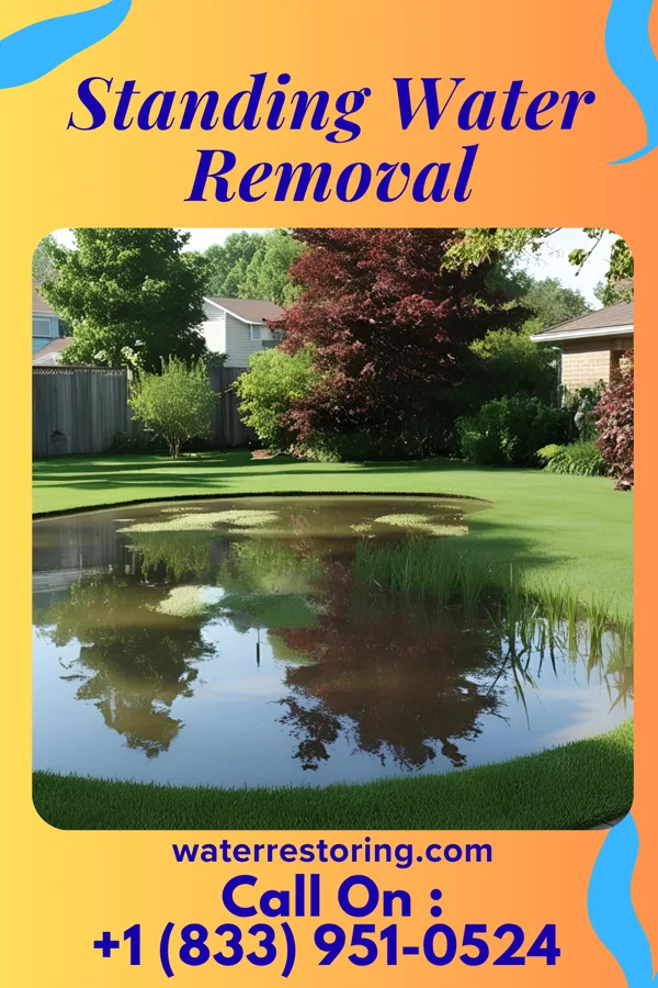 Standing Water Removal in Arona, PA